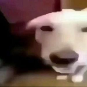 Meet your Posher, Derek